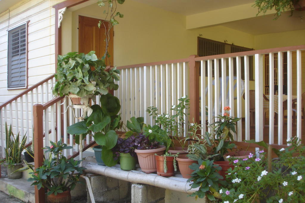 Finjam Cottage Port Antonio Exterior foto